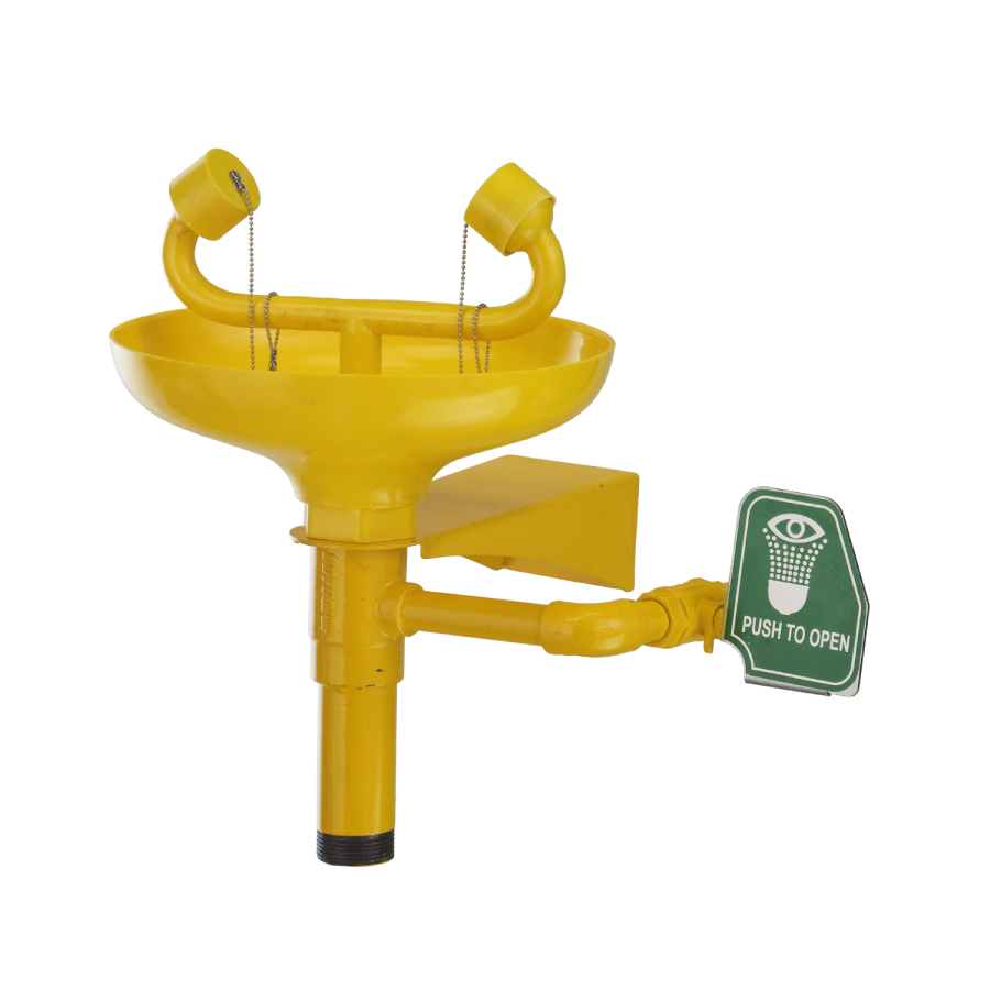 4810 GI Eye / Face Wash Wall Mounted