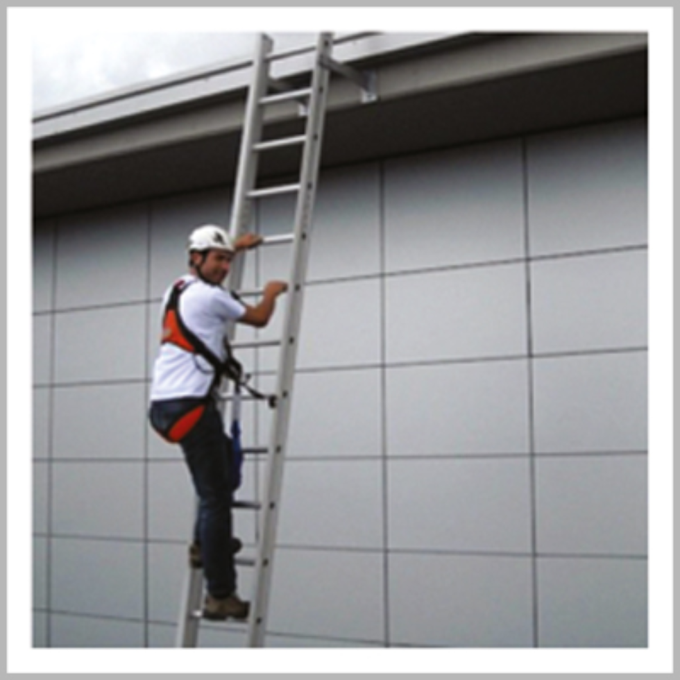 Safety ladder SafeLadder
