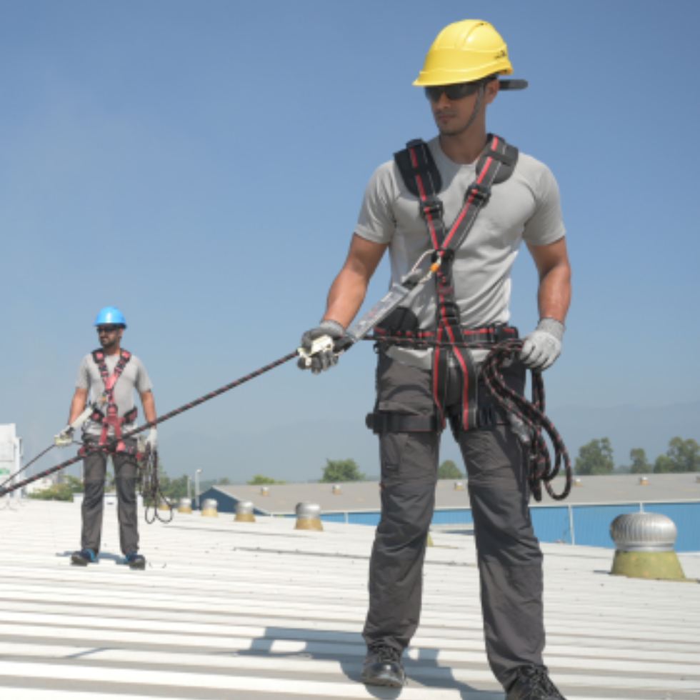 Sky Walk Fall Protection System