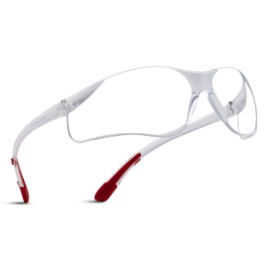 UD 91 AF Safety Goggles